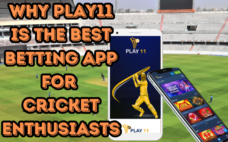 Why Play11 is the Best Betting App for Cricket Enthusiasts