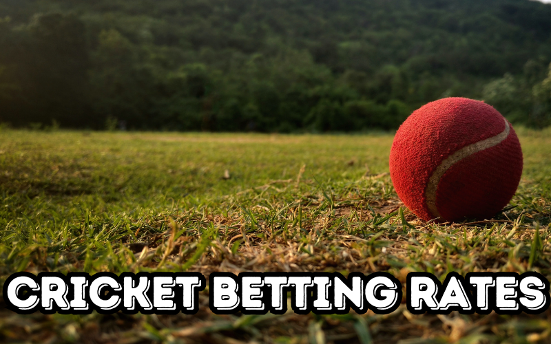 cricket betting rates