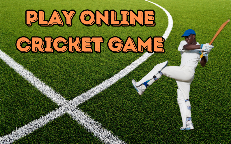 play online cricket game